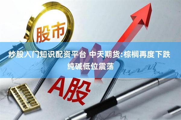 炒股入门知识配资平台 中天期货:棕榈再度下跌 纯碱低位震荡