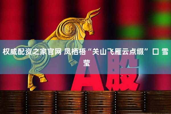 权威配资之家官网 凤栖梧“关山飞雁云点缀” 囗 雪 莹